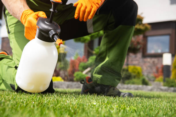 Best Local Pest Control Services  in Sammamish, WA