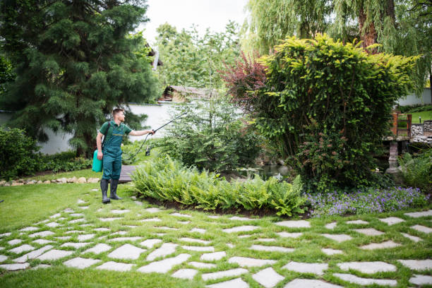 Best Affordable Pest Control Services  in Sammamish, WA