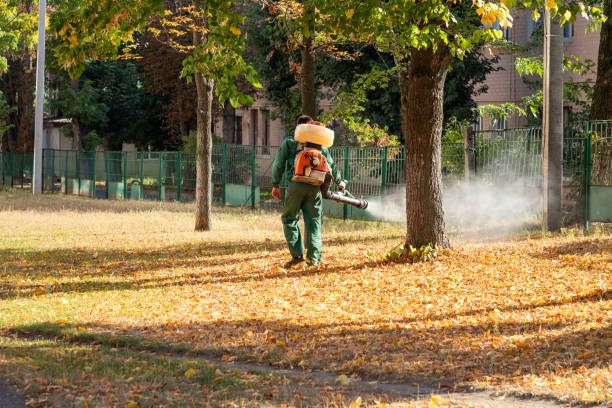 Best Pest Removal Services  in Sammamish, WA